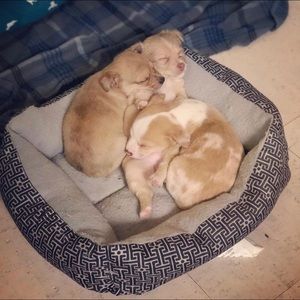 Meet your Posher, Kelly